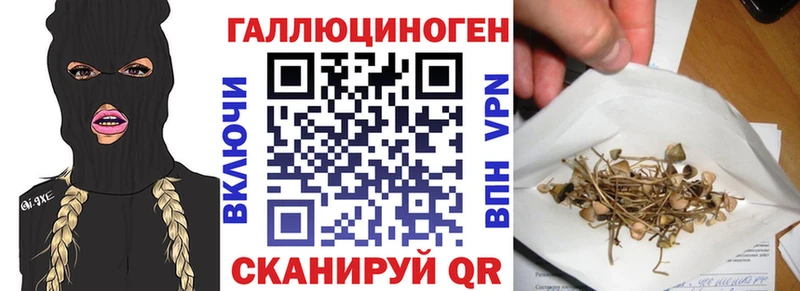 kraken   Сегежа  Псилоцибиновые грибы прущие грибы 